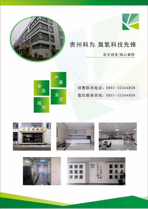 山東貴州臭氧發生器 10g復古臭氧機在辦公室與學校的消毒除味應用
